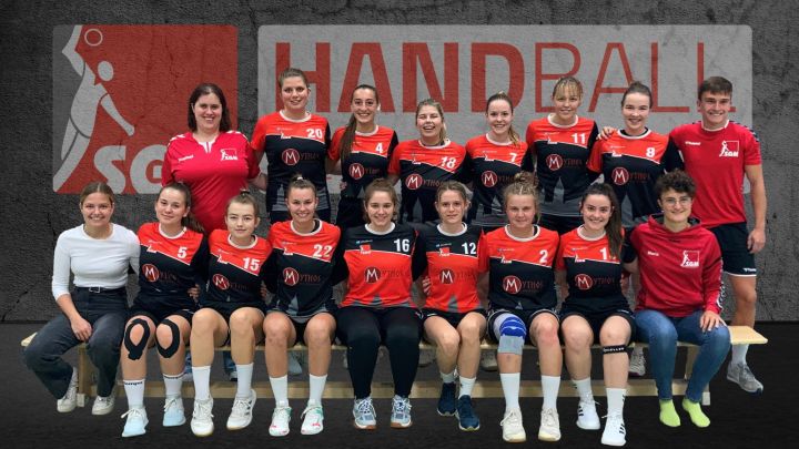 Weiterlesen: Arbeitssieg der Moosburger Handball-Damen